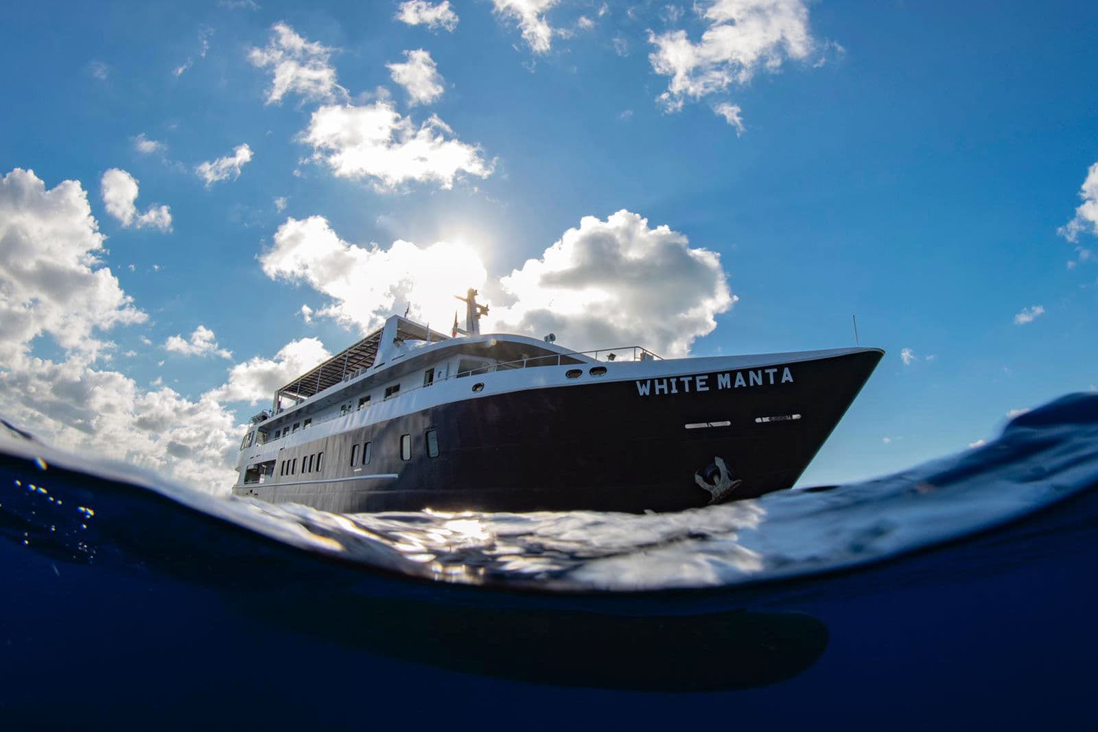 White Manta bow view