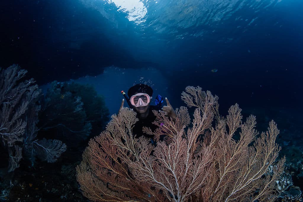 Raja Ampat diving from Amaya Explorer
